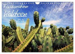Cover Faszination Kakteen (Wandkalender 2026 DIN A4 quer), CALVENDO Monatskalender