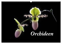 Cover Orchideen 2026 (Wandkalender 2026 DIN A2 quer), CALVENDO Monatskalender