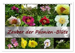 Zauber der Päonien-Blüte (Tischkalender 2026 DIN A5 quer), CALVENDO Monatskalender Zauber der Päonien-Blüte (Tischkalender 2026 DIN A5 quer), CALVENDO Monatskalender