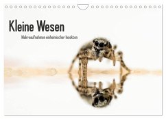 Kleine Wesen - Makroaufnahmen von einheimischen Insekten (Wandkalender 2026 DIN A4 quer), CALVENDO Monatskalender Kleine Wesen - Makroaufnahmen von einheimischen Insekten (Wandkalender 2026 DIN A4 quer), CALVENDO Monatskalender