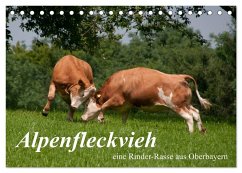 Alpenfleckvieh (Tischkalender 2026 DIN A5 quer), CALVENDO Monatskalender