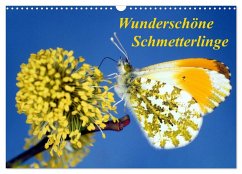 Wunderschöne Schmetterlinge (Wandkalender 2026 DIN A3 quer), CALVENDO Monatskalender