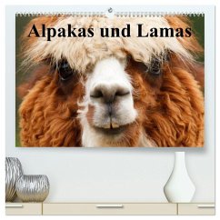 Alpakas und Lamas (hochwertiger Premium Wandkalender 2026 DIN A2 quer), Kunstdruck in Hochglanz Alpakas und Lamas (hochwertiger Premium Wandkalender 2026 DIN A2 quer), Kunstdruck in Hochglanz