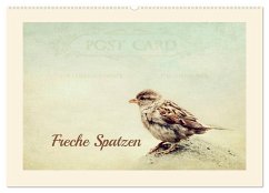 Cover Freche Spatzen (Wandkalender 2026 DIN A2 quer), CALVENDO Monatskalender