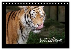 Cover Wildtiere (Tischkalender 2026 DIN A5 quer), CALVENDO Monatskalender