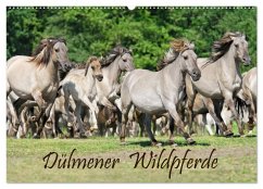 Dülmener Wildpferde (Wandkalender 2026 DIN A2 quer), CALVENDO Monatskalender