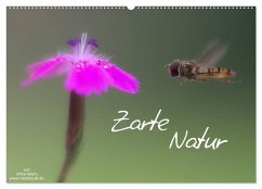 Cover Zarte Natur 2026 (Wandkalender 2026 DIN A2 quer), CALVENDO Monatskalender
