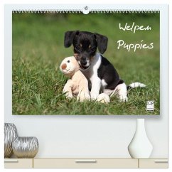 Welpen - Puppies (hochwertiger Premium Wandkalender 2026 DIN A2 quer), Kunstdruck in Hochglanz Welpen - Puppies (hochwertiger Premium Wandkalender 2026 DIN A2 quer), Kunstdruck in Hochglanz