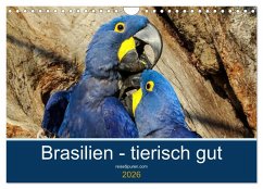 Cover Brasilien tierisch gut 2026 (Wandkalender 2026 DIN A4 quer), CALVENDO Monatskalender