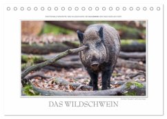Emotionale Momente: Das Wildschwein. / CH-Version (Tischkalender 2026 DIN A5 quer), CALVENDO Monatskalender Emotionale Momente: Das Wildschwein. / CH-Version (Tischkalender 2026 DIN A5 quer), CALVENDO Monatskalender