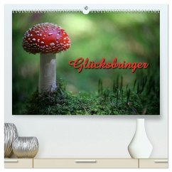Glücksbringer (hochwertiger Premium Wandkalender 2026 DIN A2 quer), Kunstdruck in Hochglanz Glücksbringer (hochwertiger Premium Wandkalender 2026 DIN A2 quer), Kunstdruck in Hochglanz