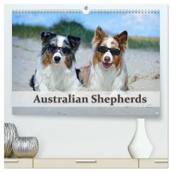 Wunderbare Australian Shepherds (hochwertiger Premium Wandkalender 2026 DIN A2 quer), Kunstdruck in Hochglanz