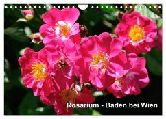 Baden bei Wien - Rosarium (Wandkalender 2026 DIN A4 quer), CALVENDO Monatskalender Baden bei Wien - Rosarium (Wandkalender 2026 DIN A4 quer), CALVENDO Monatskalender