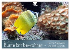 Bunte Riffbewohner - Fische, Anemonen und noch viel mehr (Wandkalender 2026 DIN A4 quer), CALVENDO Monatskalender