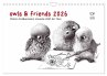owls & friends 2026 (Wandkalender 2026... - Bild 1