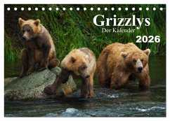 Grizzlys - Der Kalender (Tischkalender 2026 DIN A5 quer), CALVENDO Monatskalender Grizzlys - Der Kalender (Tischkalender 2026 DIN A5 quer), CALVENDO Monatskalender