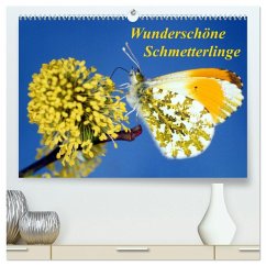 Wunderschöne Schmetterlinge (hochwertiger Premium Wandkalender 2026 DIN A2 quer), Kunstdruck in Hochglanz Wunderschöne Schmetterlinge (hochwertiger Premium Wandkalender 2026 DIN A2 quer), Kunstdruck in Hochglanz