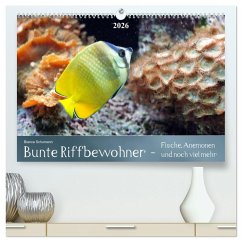 Bunte Riffbewohner - Fische, Anemonen und noch viel mehr (hochwertiger Premium Wandkalender 2026 DIN A2 quer), Kunstdruck in Hochglanz Bunte Riffbewohner - Fische, Anemonen und noch viel mehr (hochwertiger Premium Wandkalender 2026 DIN A2 quer), Kunstdruck in Hochglanz