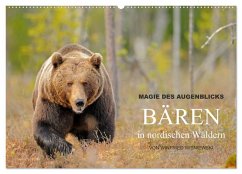 Cover Magie des Augenblicks - Bären in nordischen Wäldern (Wandkalender 2026 DIN A2 quer), CALVENDO Monatskalender