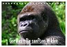Gorillas - Die sanften Wilden... - Bild 1