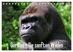 Gorillas - Die sanften Wilden (Tischkalender 2026 DIN A5 quer), CALVENDO Monatskalender Gorillas - Die sanften Wilden (Tischkalender 2026 DIN A5 quer), CALVENDO Monatskalender