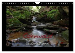 Odenwald - Landschaft sehen (Wandkalender 2026 DIN A4 quer), CALVENDO Monatskalender Odenwald - Landschaft sehen (Wandkalender 2026 DIN A4 quer), CALVENDO Monatskalender