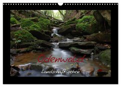 Odenwald - Landschaft sehen (Wandkalender 2026 DIN A3 quer), CALVENDO Monatskalender Odenwald - Landschaft sehen (Wandkalender 2026 DIN A3 quer), CALVENDO Monatskalender