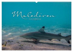 Cover Unterwasserwelt der Malediven I (Wandkalender 2026 DIN A2 quer), CALVENDO Monatskalender
