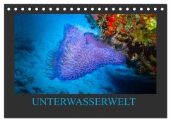 Unterwasserwelt - Das Leben am Korallenriff (Tischkalender 2026 DIN A5 quer), CALVENDO Monatskalender Unterwasserwelt - Das Leben am Korallenriff (Tischkalender 2026 DIN A5 quer), CALVENDO Monatskalender
