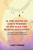 O, the Depth of God's Wisdom in His Plan for Human Salvation!