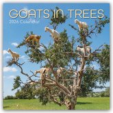 Goats in Trees - Ziegen auf Bäumen 2026 - 16-Monatskalender Goats in Trees - Ziegen auf Bäumen 2026 - 16-Monatskalender