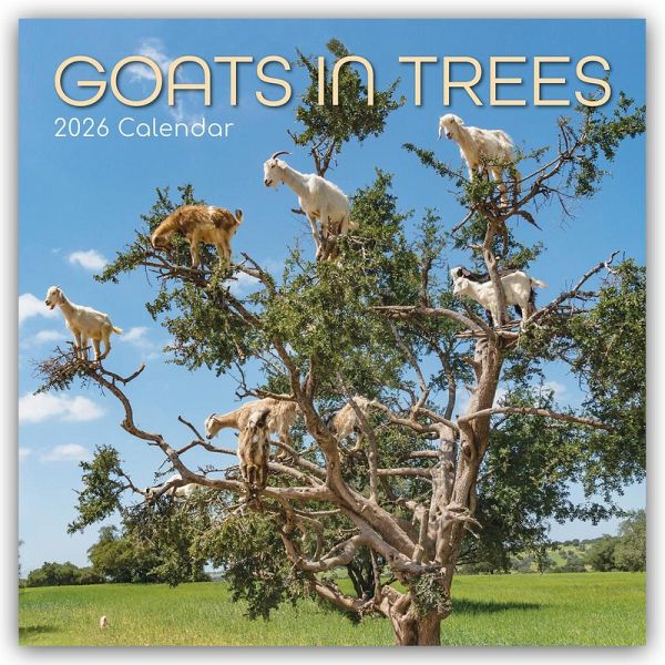 Goats in Trees - Ziegen auf Bäumen 2026 - 16-Monatskalender