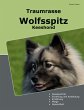 Traumrasse Wolfsspitz - Bild 1