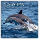 Dolphins - Delfine - Delphine 2026 - 16-Monatskalender Dolphins - Delfine - Delphine 2026 - 16-Monatskalender