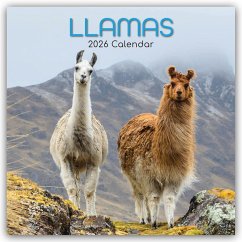 Cover Llamas - Lamas 2026 - 16-Monatskalender