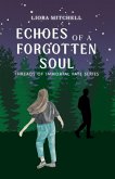 Echoes of a Forgotten Soul