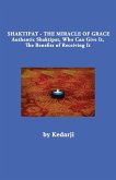 Shaktipat - The Miracle of Grace