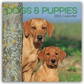 Dogs and Puppies - Hunde und Welpen 2026 - 16-Monatskalender Dogs and Puppies - Hunde und Welpen 2026 - 16-Monatskalender