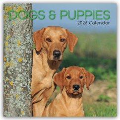Cover Dogs and Puppies - Hunde und Welpen 2026 - 16-Monatskalender