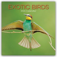 Exotic Birds - Exotische Vögel 2026 - 16-Monatskalender Cover Exotic Birds - Exotische Vögel 2026 - 16-Monatskalender