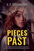 Pieces of the Past Pieces of the Past