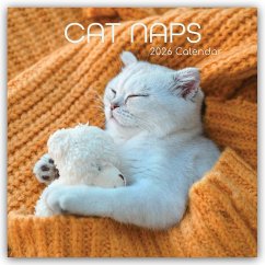 Cover Cat Naps - Träumende Katzen 2026 - 16-Monatskalender