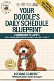 Your Doodle's Daily Schedule Blueprint Your Doodle's Daily Schedule Blueprint