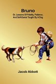 Bruno; Or, Lessons Of Fidelity, Patience, And Self-Denial Taught By A Dog Bruno; Or, Lessons Of Fidelity, Patience, And Self-Denial Taught By A Dog