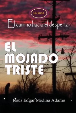 El Mojado Triste - Medina Adame, Jesús Edgar