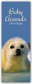 Baby Animals - Tierkinder - Slimline-Kalender 2026 Baby Animals - Tierkinder - Slimline-Kalender 2026