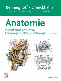 Cover Benninghoff/Drenckhahn, Anatomie