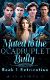 Mated to The Quadruplet Bullies (eBook, ePUB) Mated to The Quadruplet Bullies (eBook, ePUB)