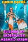 Building My Underwater Mermaid Harem (eBook, ePUB) Building My Underwater Mermaid Harem (eBook, ePUB)