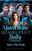 Mated to The Quadruplet Bullies (eBook, ePUB)